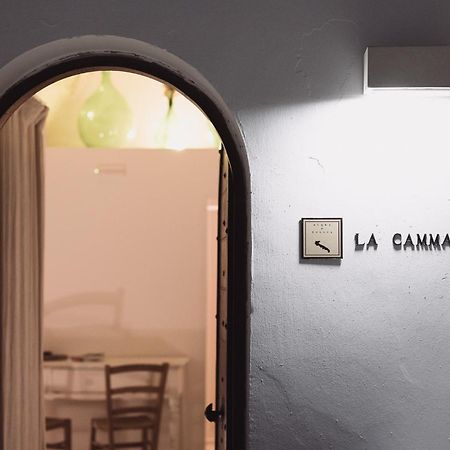 La Cammara Al Duomo Lecce Luxury Apartment Exterior foto